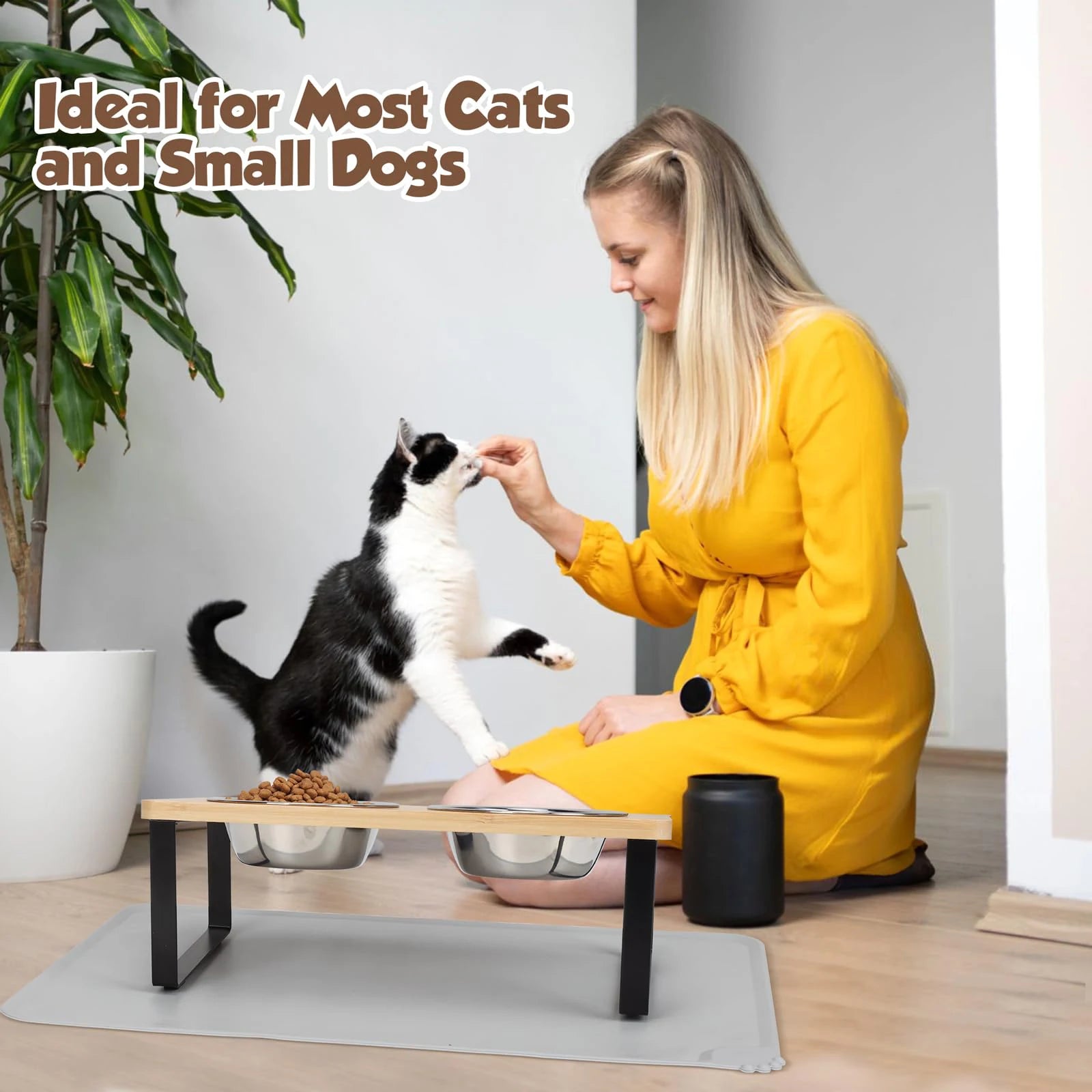 Elevated Cat Bowls Pet Feeder 15° Tilted Raised Cat Food Bowls with Wooden Stand, 2 Stainless Steel Bowls for Cats and Kittens