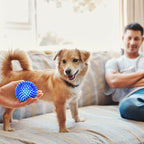 Conjunto 3/6 Bolas Squeaky para Cães – Brinquedos Flutuantes de Limpeza Dentária