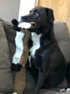 Funny Simulated Animal No Stuffing Dog Toy with Sneakers Durable Stuffingless Plush Squeaky Dog Chew Toy Crinkle Pet Squeak Toy