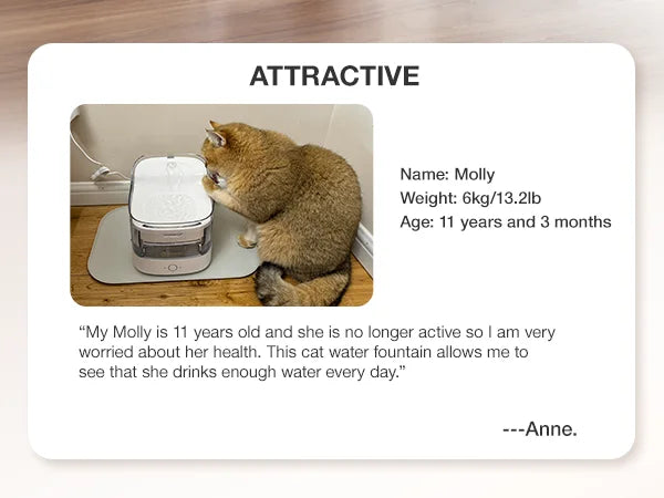 Petgugu PF1 Automatic Feeder 2L Capacity Drinking Fountain For Cats Dog Drinker Pet Water Dispenser Accessories APP Control