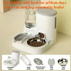 Automatic cat bowl feeder for cats, dogs, pets, water dispensers, integrated cat bowl, cat food bowl, dogs, eating, drinking water