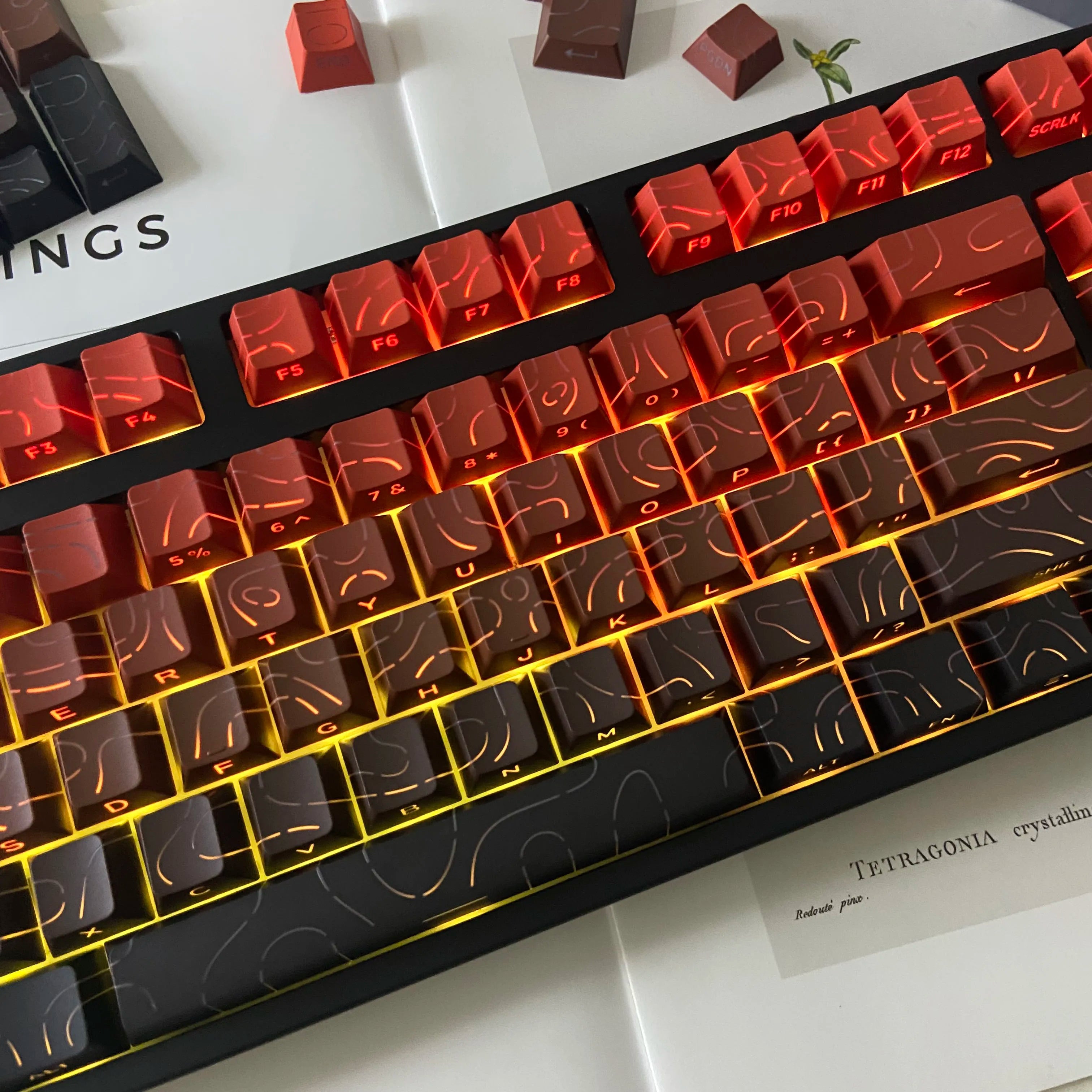 Line Gradient Side Shine Through Keycaps Cherry Profile PBT Custom Keycaps for 60% 65% 75% 96% 98% 100% Mechanical Keyboard