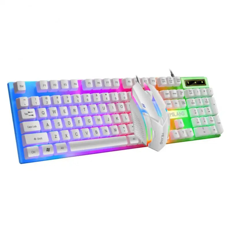 Rainbow Backlit Wired Keyboard and Mouse,Floating Keycap Strong, Wear-resistant, Comfortable Feel Keyboard for Business Office