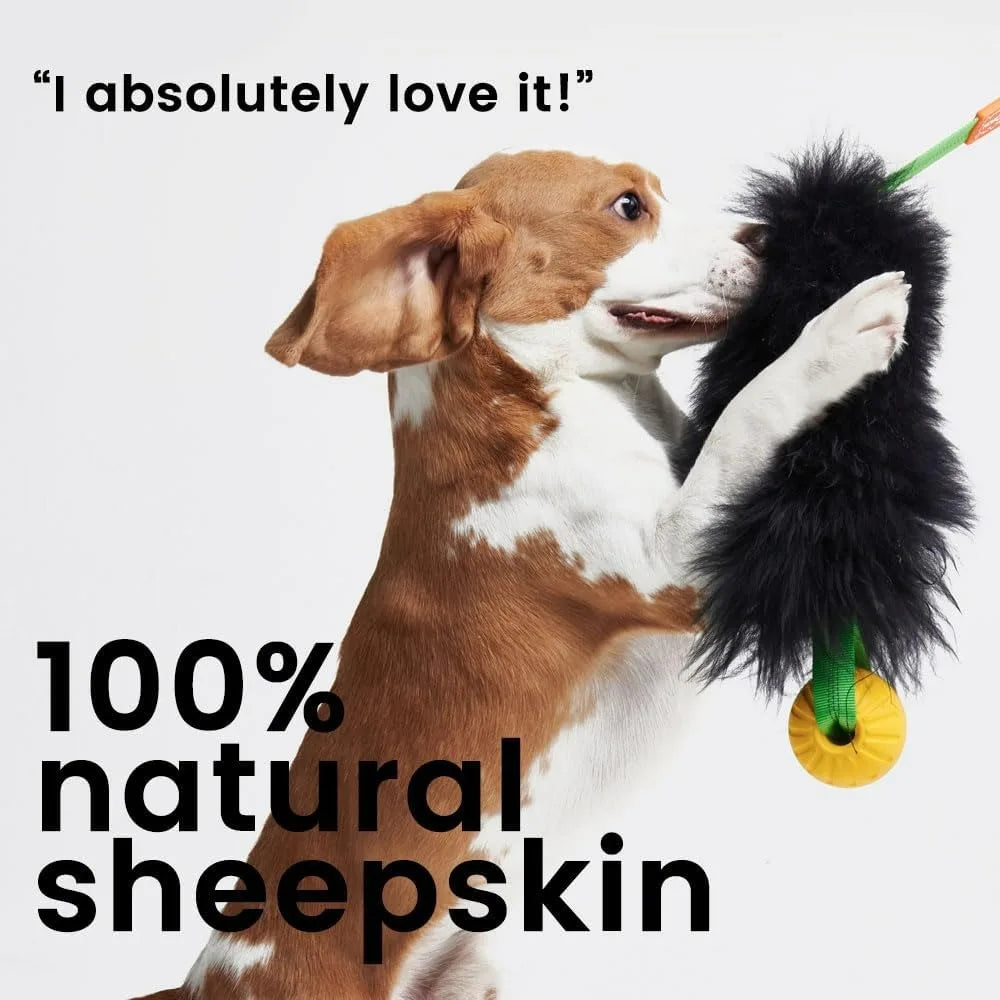 Brinquedo de Corda Bungee para Cães – Tug Toy com Bola de Borracha e Sheepskin