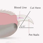Pet Nail Clippers Dog Cat Nail Trimmer Labor-Saving Pet Claw Grooming Scissors for Dogs Cats Small Animals Paw Nail Trimmer