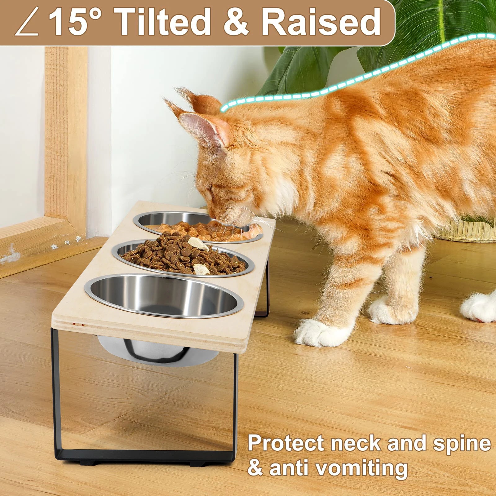 Elevated Cat Bowls Feeder 15° Tilted Raised Feeding & Watering Supplies Pet 3 Stainless Steel Bowls with Stand for Kittens