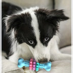 Osso de Mastigação Ultra‑Resistente para Cães – Efeito de Limpeza Dentária