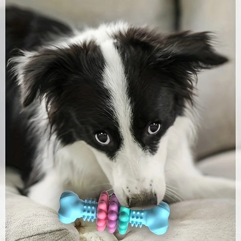Osso de Mastigação Ultra‑Resistente para Cães – Efeito de Limpeza Dentária