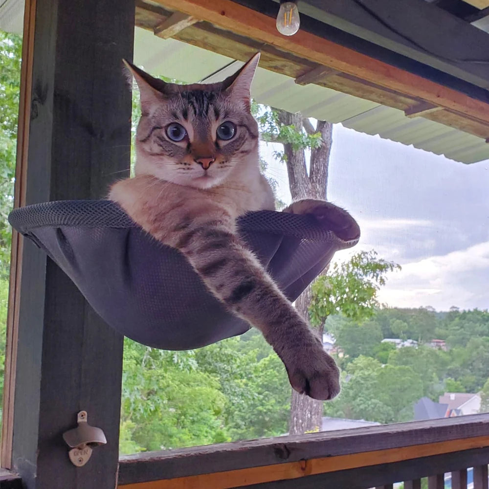 Wall Mounted Cat Hammock Foldable Stable Cat Beds Breathable Cats Wall Shelves for Sleeping Playing Climbing Basketball Frame